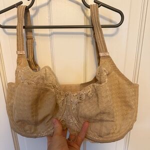 Panache Envy bra 34GG